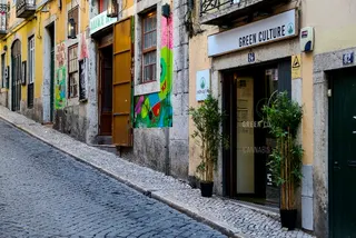 Green Culture CBD Store
