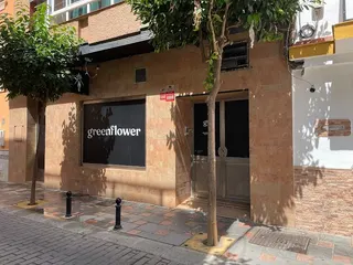 Green Flower Social Club
