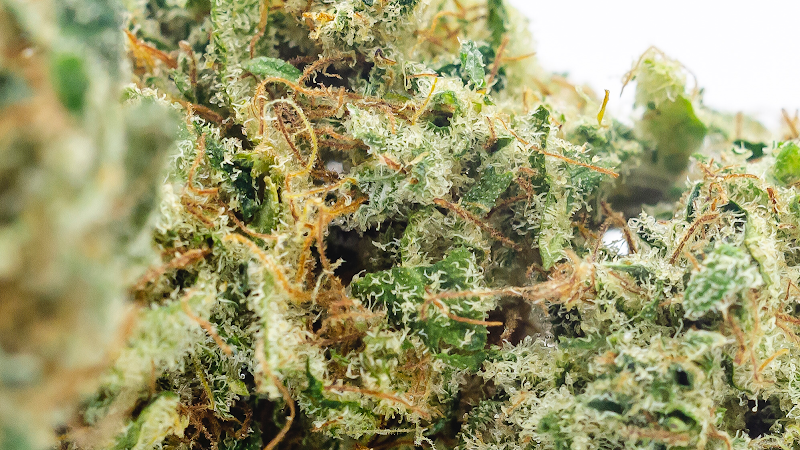 Green Life Finest Swiss CBD