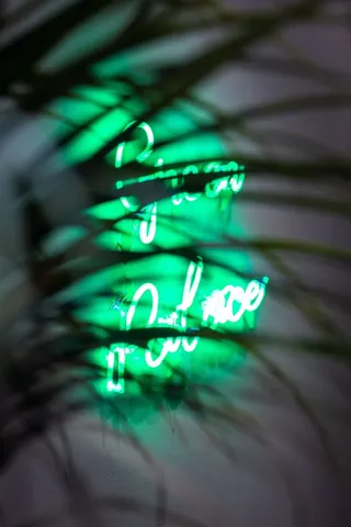 Green Palace - Weed Club Badalona