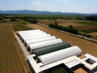 GreenLife North Macedonia