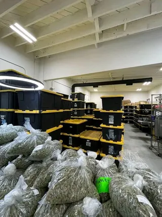 GreenVault Collective