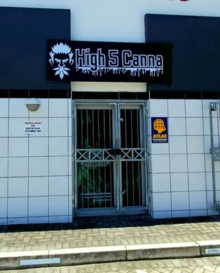 High 5 Canna