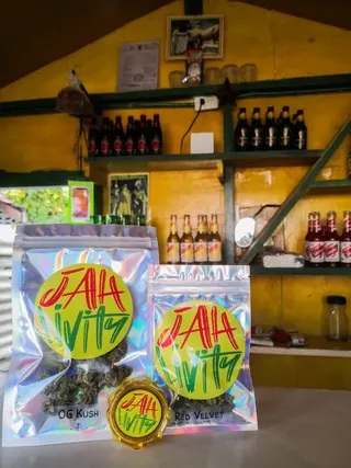 Jah Livity