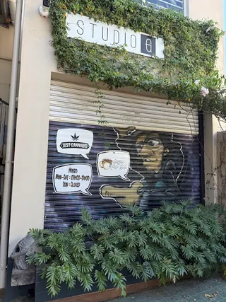 Just Cannabis