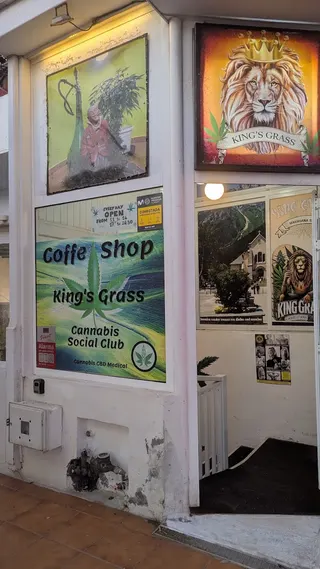 King´Grass