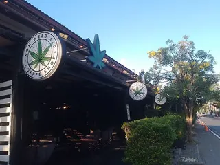 Koh Weed 420