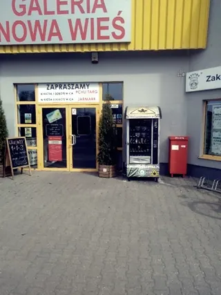 Konopie w Łożyskach