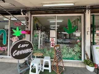 Lady cannabis