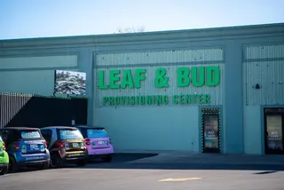 Leaf & Bud Detroit