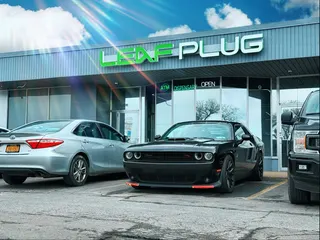 Leaf Plug