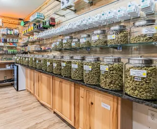 Lucid Labs