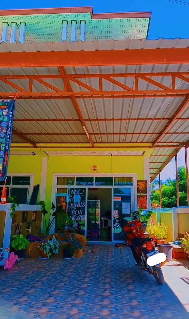 ร้านขายกัญชา M L CANNABIS BOS HOME