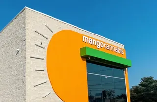 Mango Cannabis Recreational Weed Dispensary Lansing