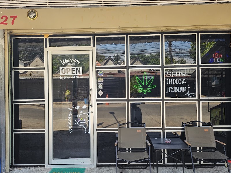 Marijuana Cannabis shop Dispensary 大麻