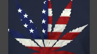 Marijuana Certifications