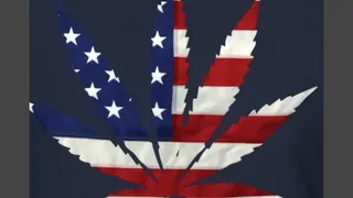Marijuana Certifications