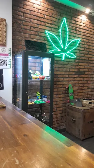 Mary Jane Weed Club