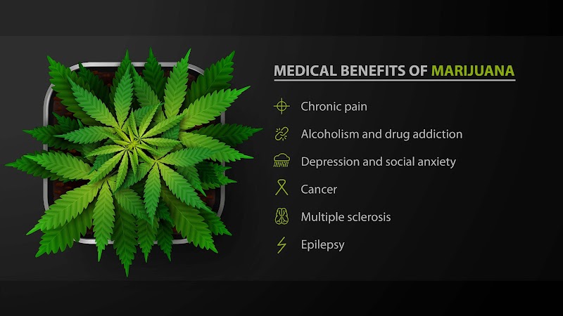 MCC Marijuana Doctor
