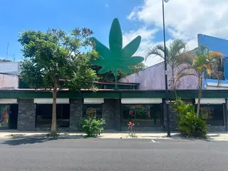 Medical Cannabis dispensary Costa Rica