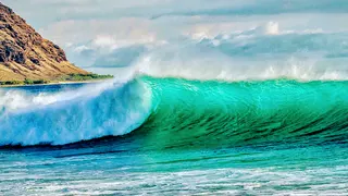 Medical Marijuana Hawaii