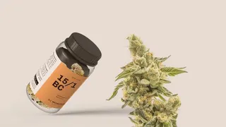 Medrofarm – Medizinisches Cannabis