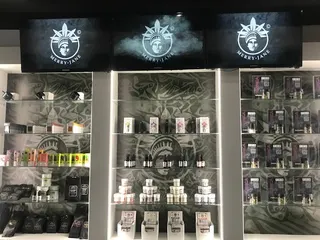 Merry-Jane PLUS Stellenbosch