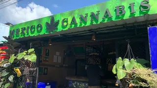 Mexico Cannabis