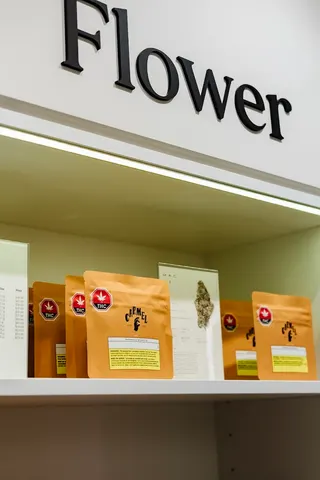 Minerva Cannabis