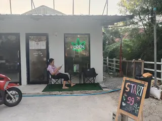 Mr.cannabis store