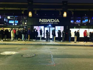 New Dia Fenway Weed Dispensary Boston