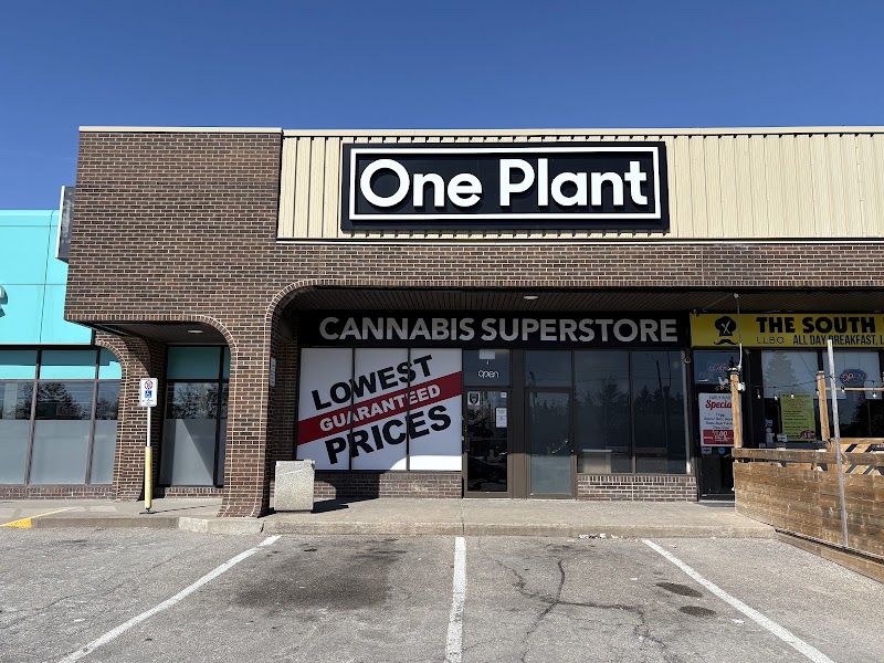 One Plant - Ajax Westney Road