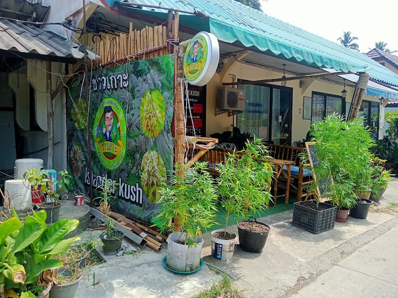 PiNam Cannabis Shop ชาวเกาะ