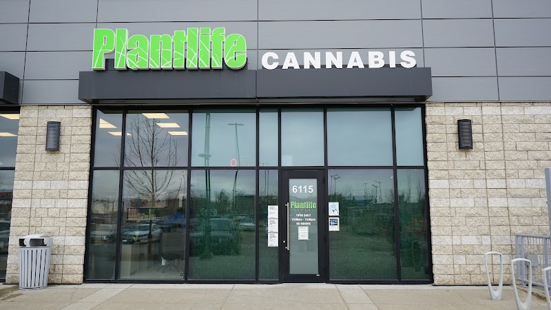 Plantlife Cannabis Weed Dispensary Windermere Currents
