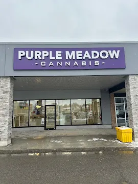 Purple Meadow