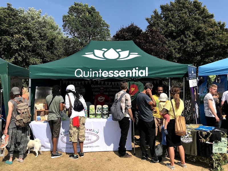 Quintessential Tips CBD Oils