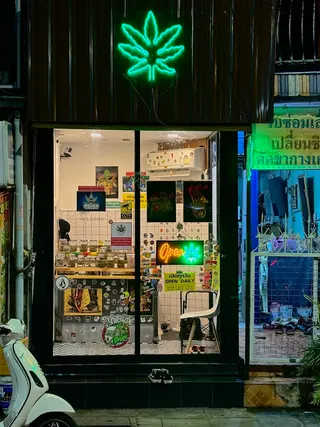 Relax420 ร้านกัญชา Cannabis Marijuana 大麻