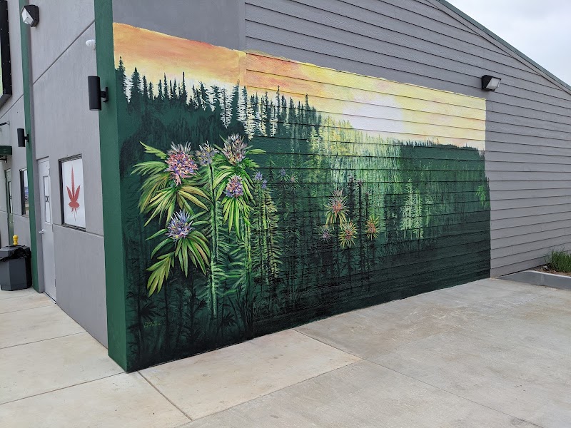 Rocky's Pot Shop