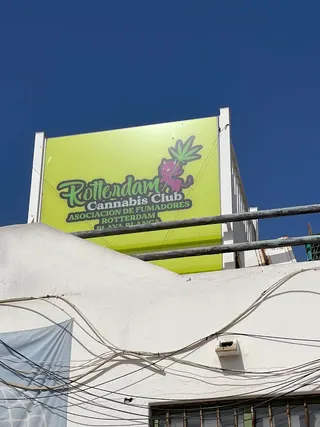Rotterdam Playa Blanca