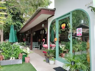 Samui Cannabis Club