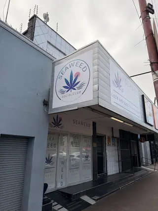 Seaweed social club
