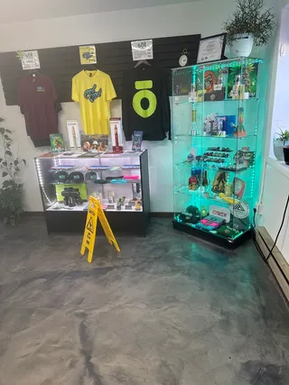 Seed of Life Labs