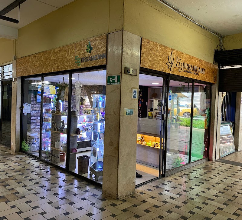 Smoke Shop - 59 organicann | Cbd Envigado Medellín