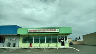 Sweet Tree Farms