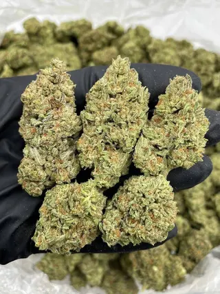 Switzerland cannabis shop