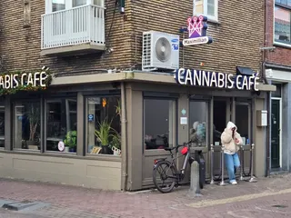 The cannabis cafe