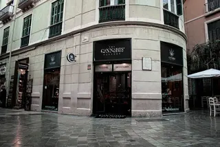 The Cannabis Factory