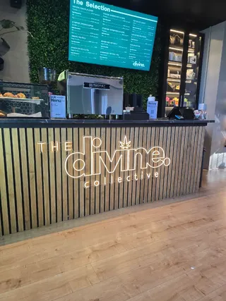 The Divine Collective