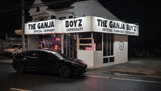 THE GANJA BOYZ