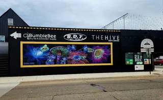 The Hive at BDT